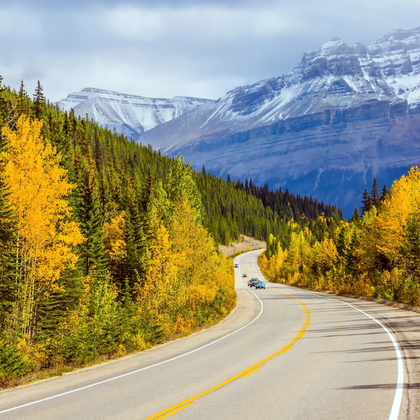 Country road winding through an autumnal forest landscape, with snow-capped mountains in the background and a blue sky.
