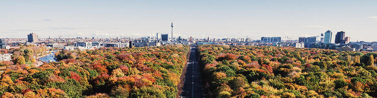 Pohled na Berlín se stromy v popředí