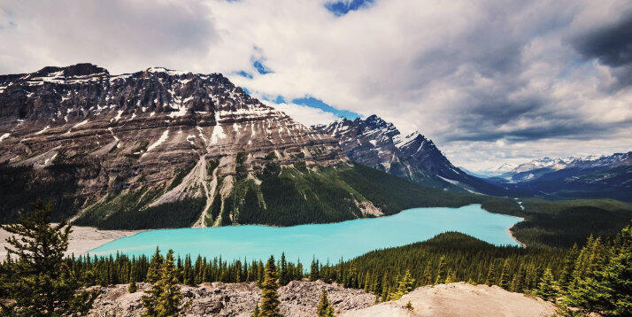 Tyrkysové jezero Peyto Lake obklopené zasněženými vrcholy a hustým lesem v kanadských Skalnatých horách.