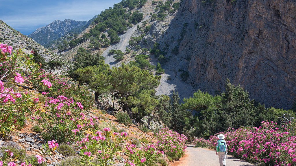 Wanderer läuft auf Wanderweg in Samaria Schlucht auf Kreta