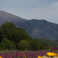 Wanderurlaub auf Kreta