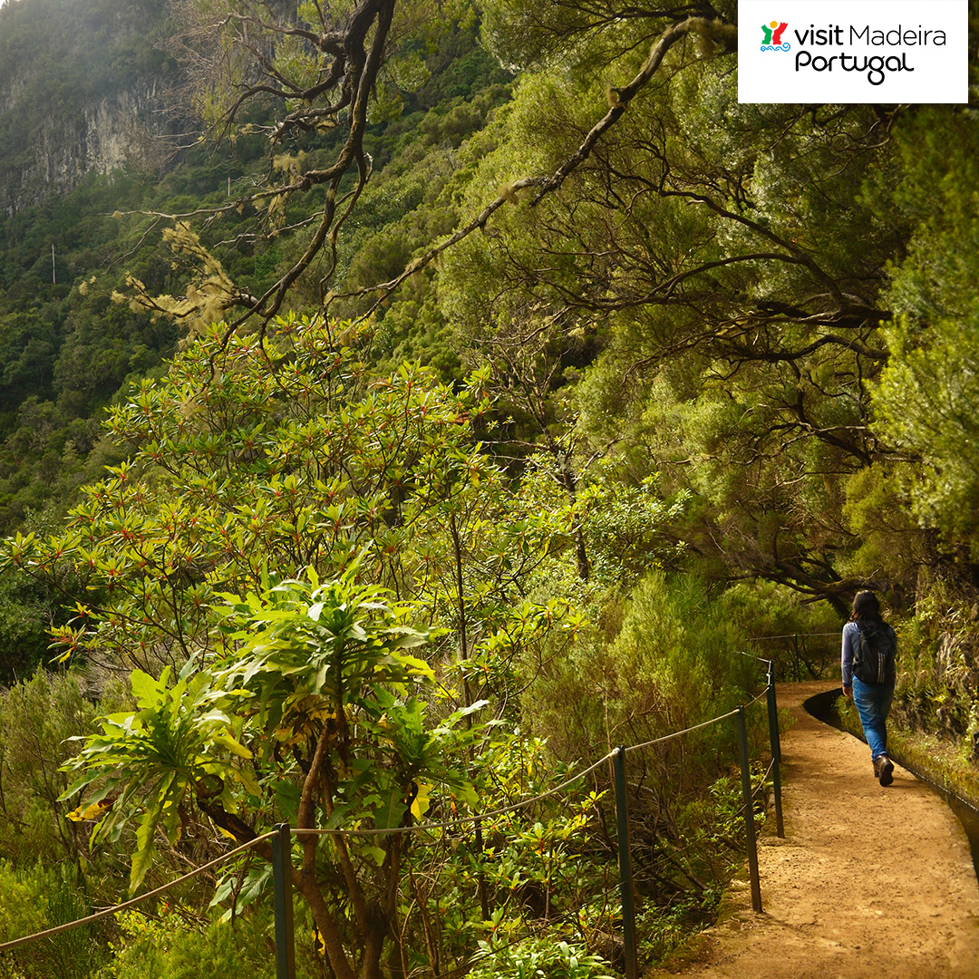 Frau wandert auf Weg in grüner Landschaft auf Madeira