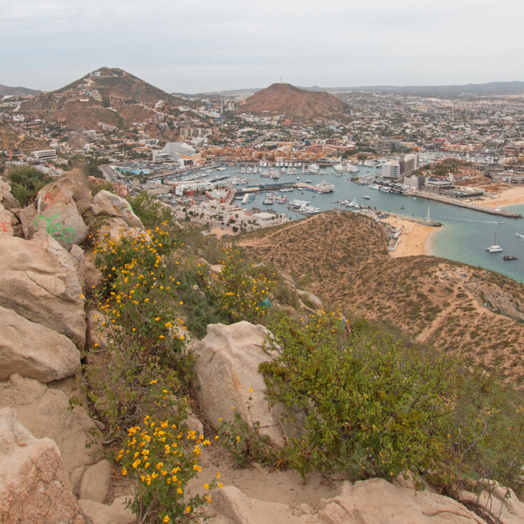aussicht auf cabo san lucas