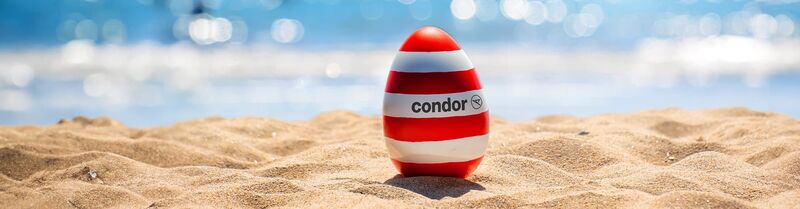 Eintagsfliegen Ein gestreiftes Ei liegt im Sand am Strand