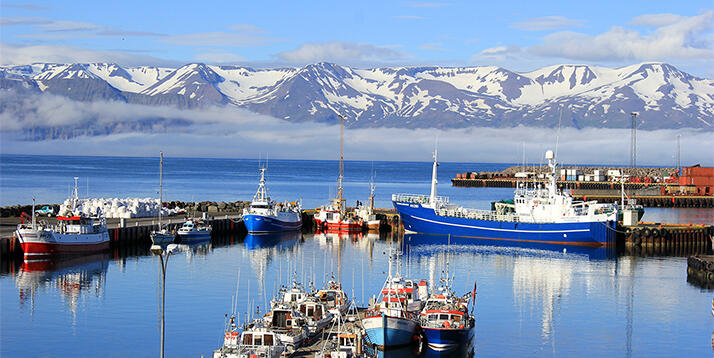Der malerische Hafen von Akureyri (Island) mit schneebedeckten Bergen im Hintergrund