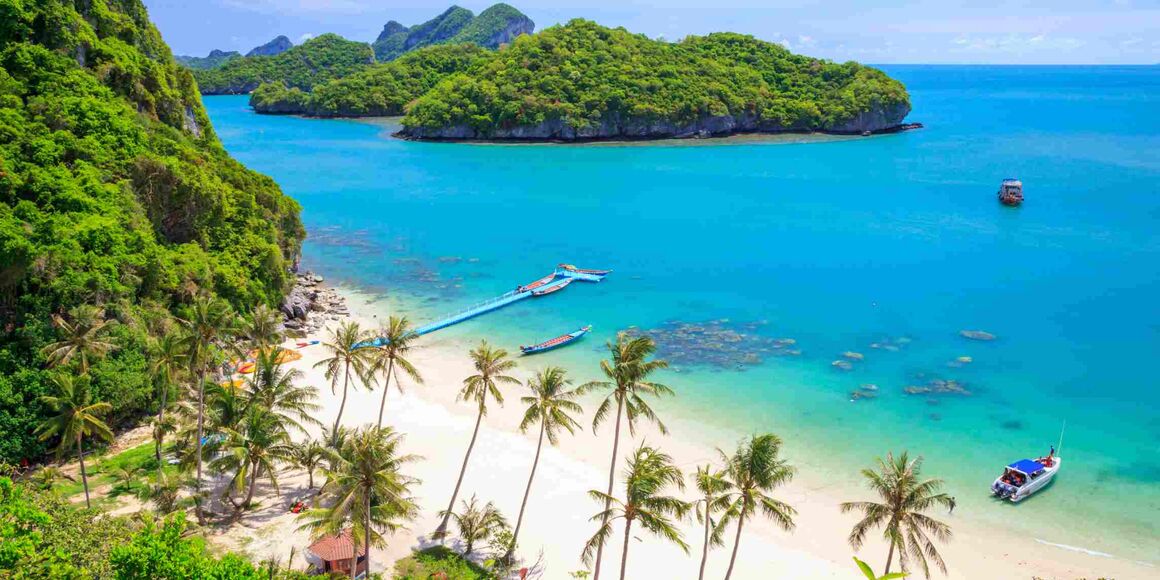 Koh Samui Palmenstrand