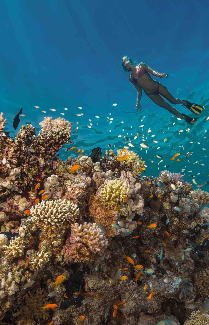 Buchen Sie jetzt Ihren Ägyptenurlaub inkl. Flug und Hotel und erleben Sie traumhafte Strände, atemberaubende Unterwasserwelten und grenzenlose Entspannung!