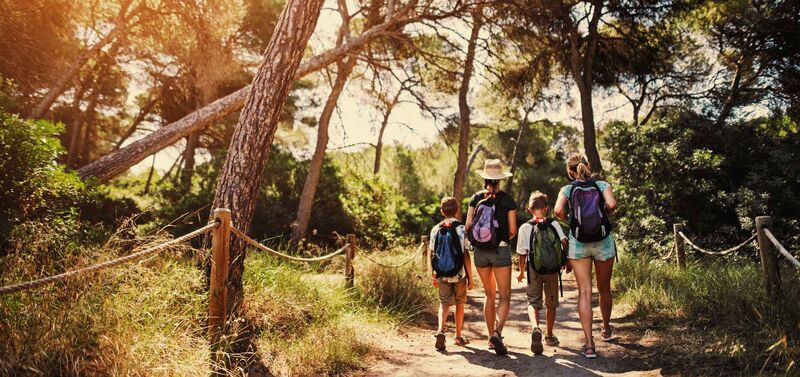 Eine Familie wandert durch die Wälder Mallorcas, die Sonne scheint