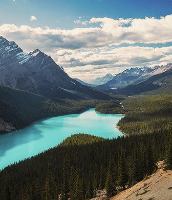 Condor Calgary Condor Worldmap - Condor