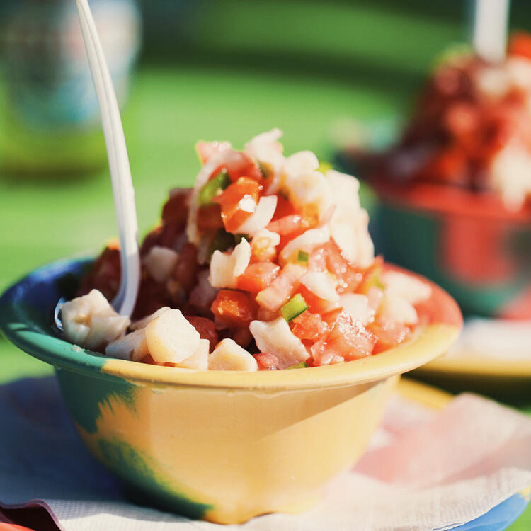 Lokale Köstlichkeit Conch Lokale Köstlichkeit Conch