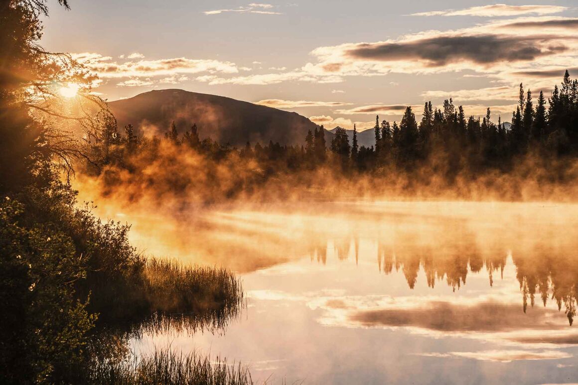 Ein See umsäumt von Bäumen mit aufsteigendem Nebel bei Sonnenaufgang