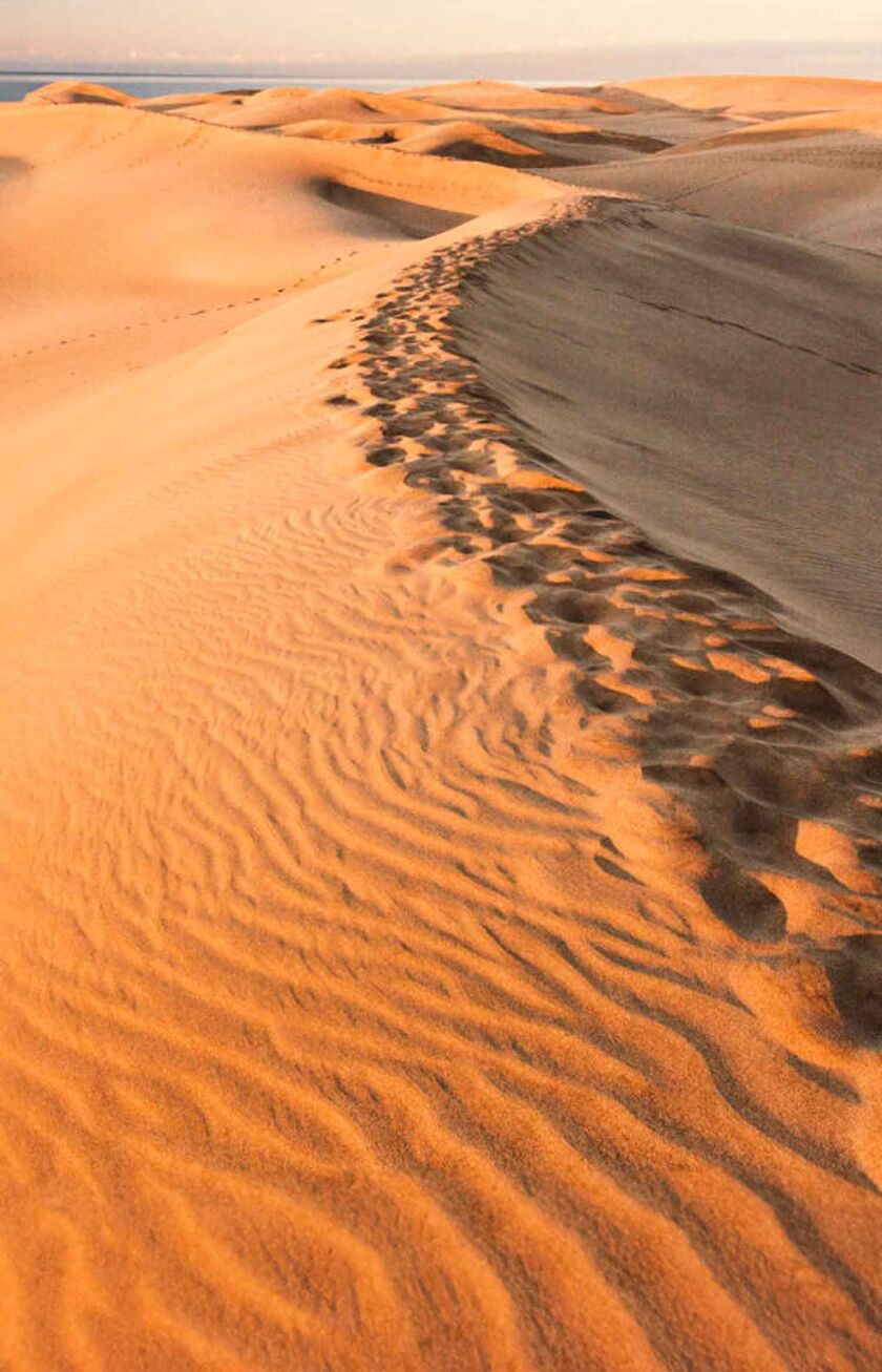 Eine beeindruckende Sanddüne auf Gran Canaria