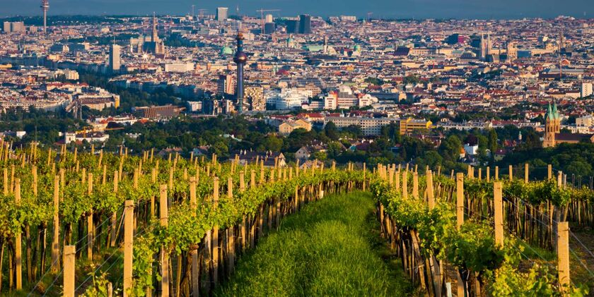 Wien mit Weinbergen