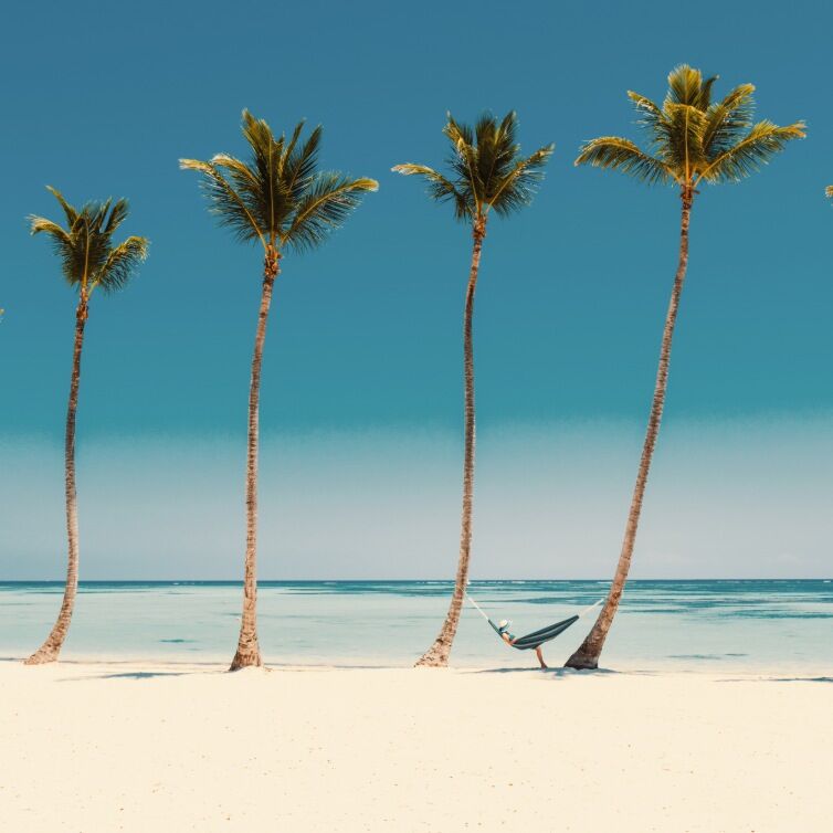 Punta Cana Strand Palmen mit Hängematte