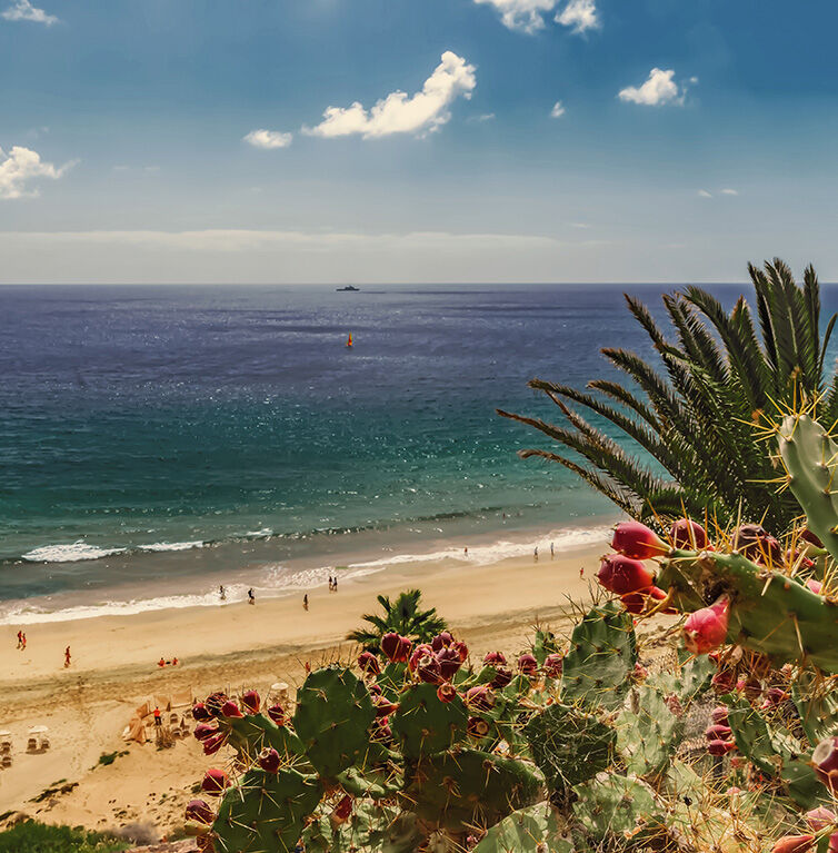 Blick auf den Strand auf den kanarischen Inseln