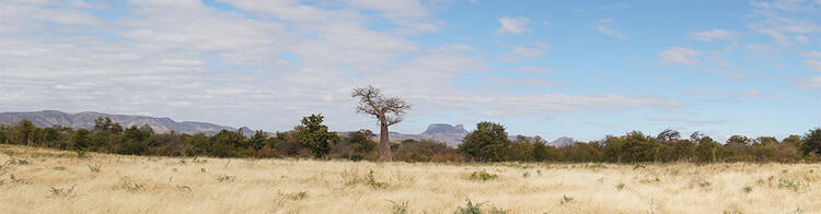 Landschaft am Lake Kariba