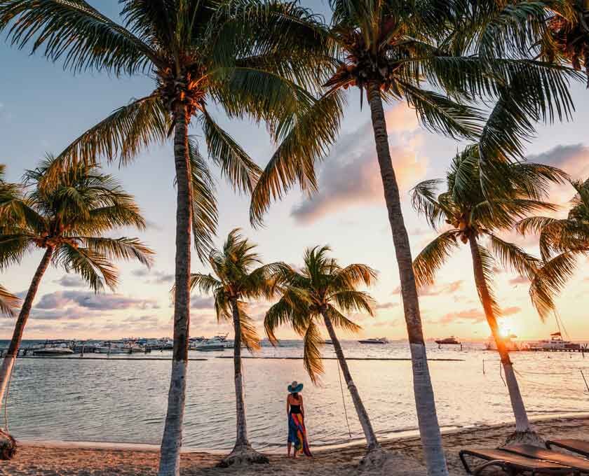 Eine Frau steht bei Sonnenuntergang am Strand zwischen hochgewachsenen Palmen