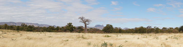 Landschaft am Lake Kariba