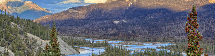 Saskatchewan River vor Bergpanorama