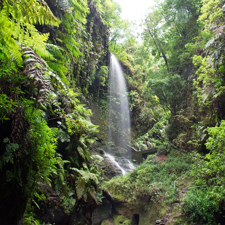 Wasserfall von Los Tilos im Nationalpark von La Palma, Kanarische Inseln