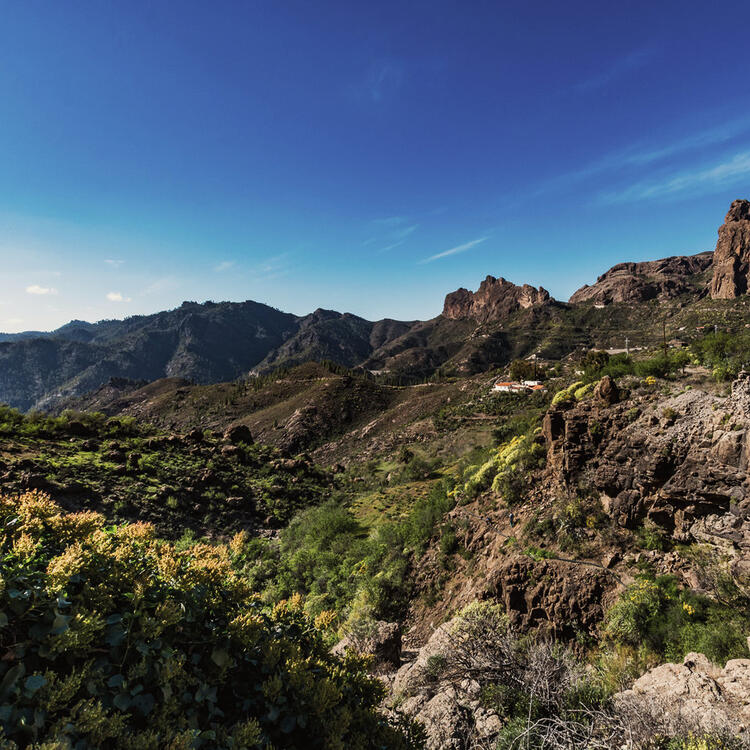Fataga Wanderweg , Gran Canaria Süden | Condor Spektakulären blick von Fataga-Tal auf Gran Canaria, Spanien