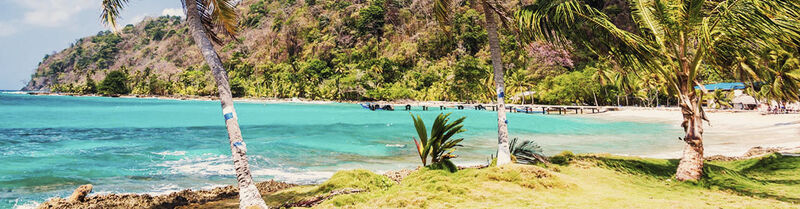 Tropischer Strand in Panama mit Palmen und türkisfarbenem Meer