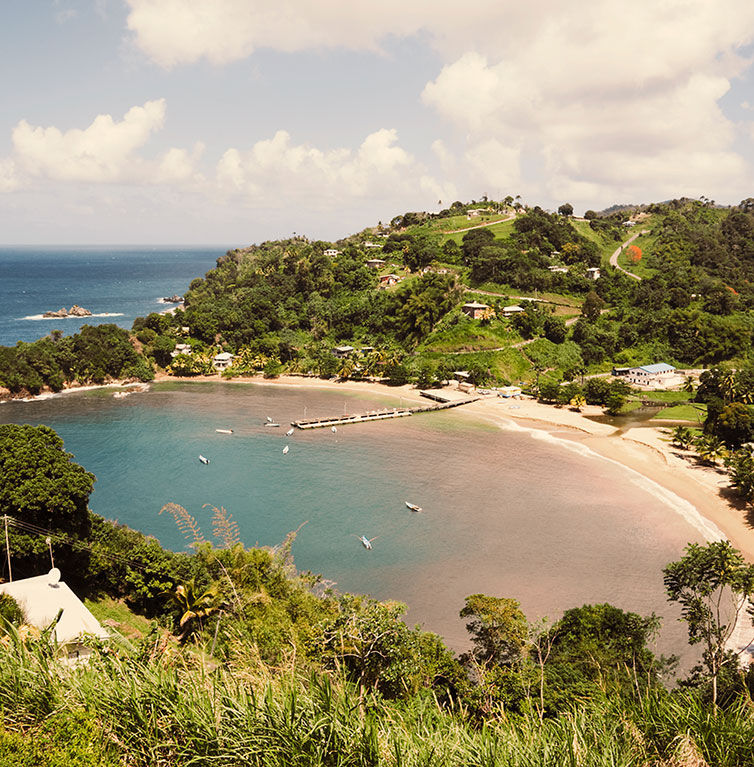 Blick auf eine malerische Bucht auf Tobago