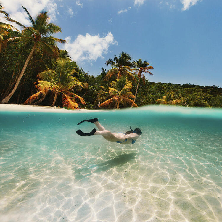 Schnorcheln auf Tobago Schnorcheln im blauen Meer auf Tobago
