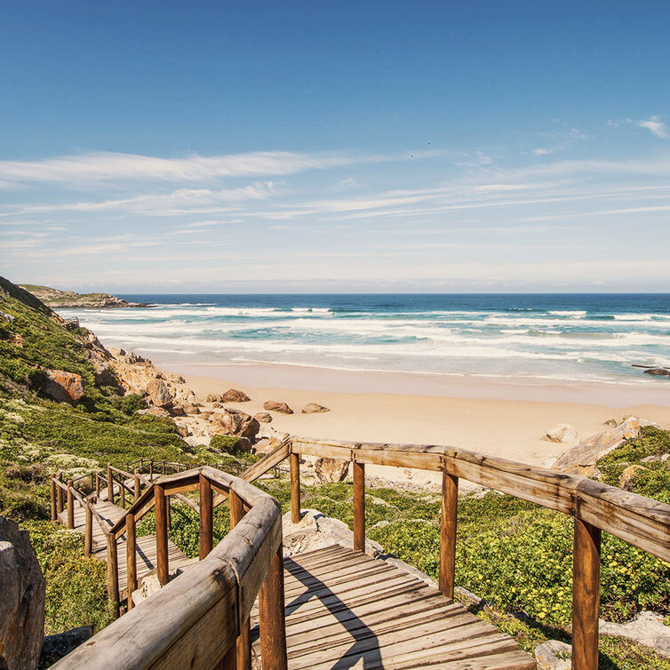 Weg zum Strand am Robberg