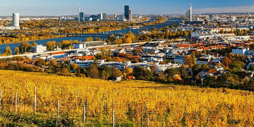Wien Weinberge mit Skyline im Oktober