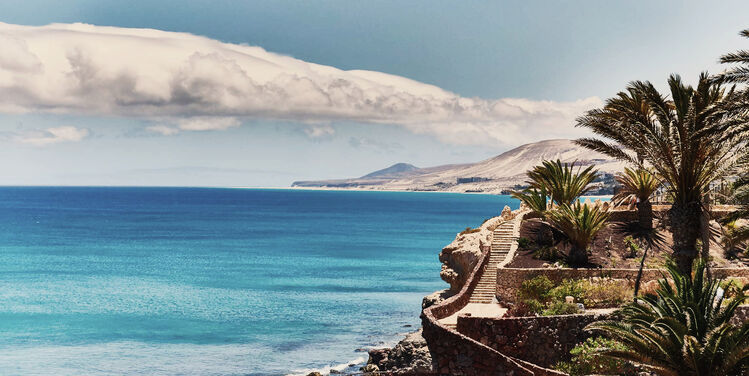 Blick auf das Meer - Fuerteventura - Condor