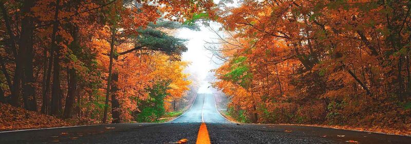Indian Summer Great Lakes Eine Straße gesäumt von bunten Bäumen im Indian Summer in den USA