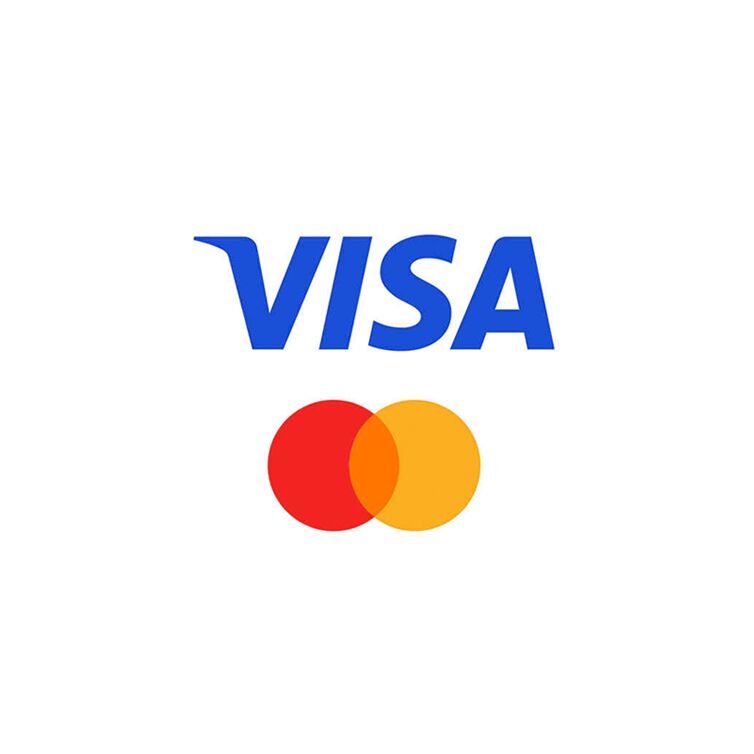 Logo der Zahlungsmöglichkeit VISA