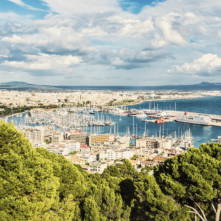 Blick von der Burg Bellver auf Hafen und Altstadt Palma-de-Mallorca