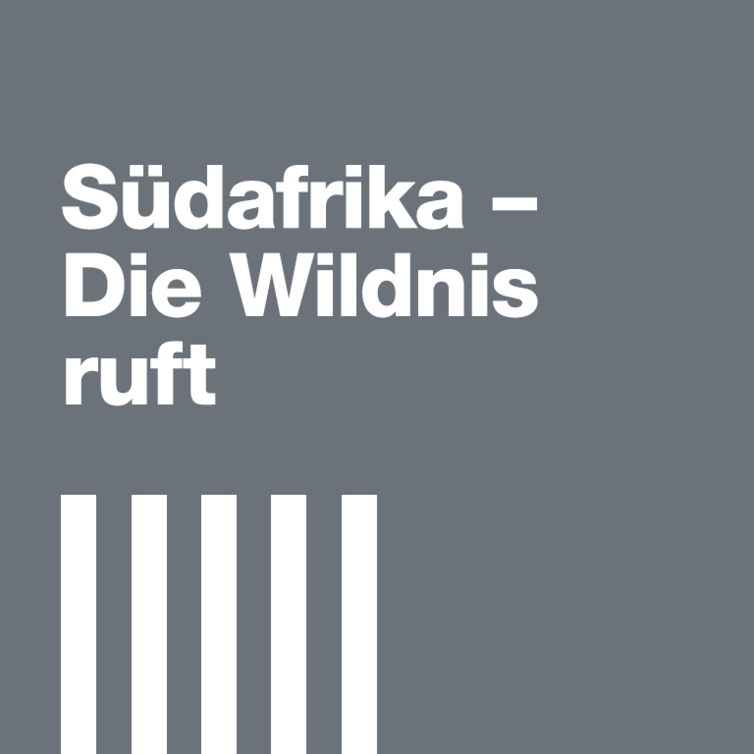 Graue Kachel mit weißen Streifen und Text:– Die Wildness ruft.
