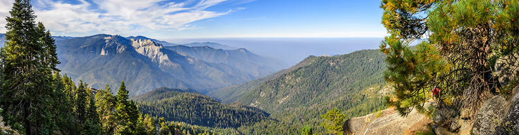 Blick über den Sequoia National Park
