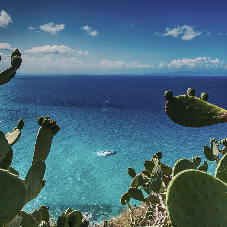 Meer und Buchen Italiens Meer und Buchen Italiens