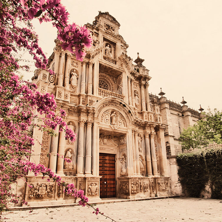 Eine Kirche in Jerez, Andalusien, im Vordergrund pinkfarbene Blumen