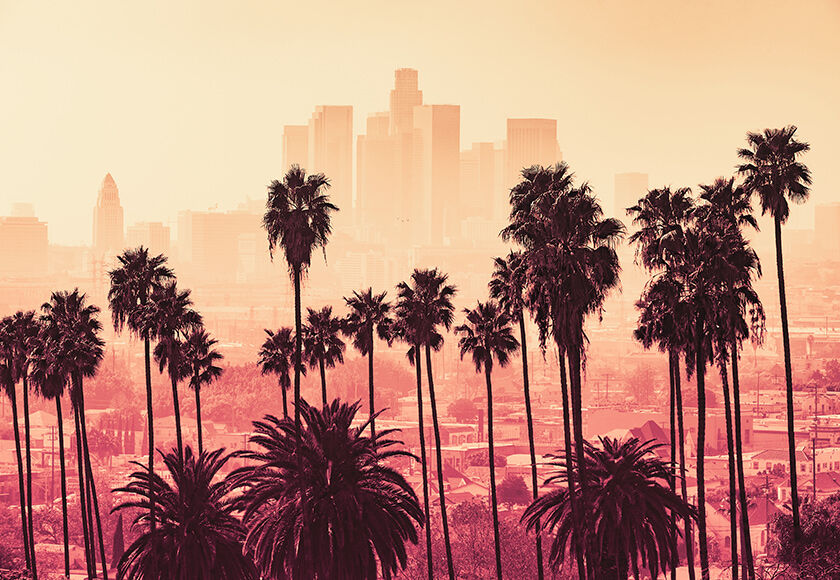 Hohe Palmen vor der Skyline von LA, der Himmel ist vom Sonnenaufgang pink und golden gefärbt
