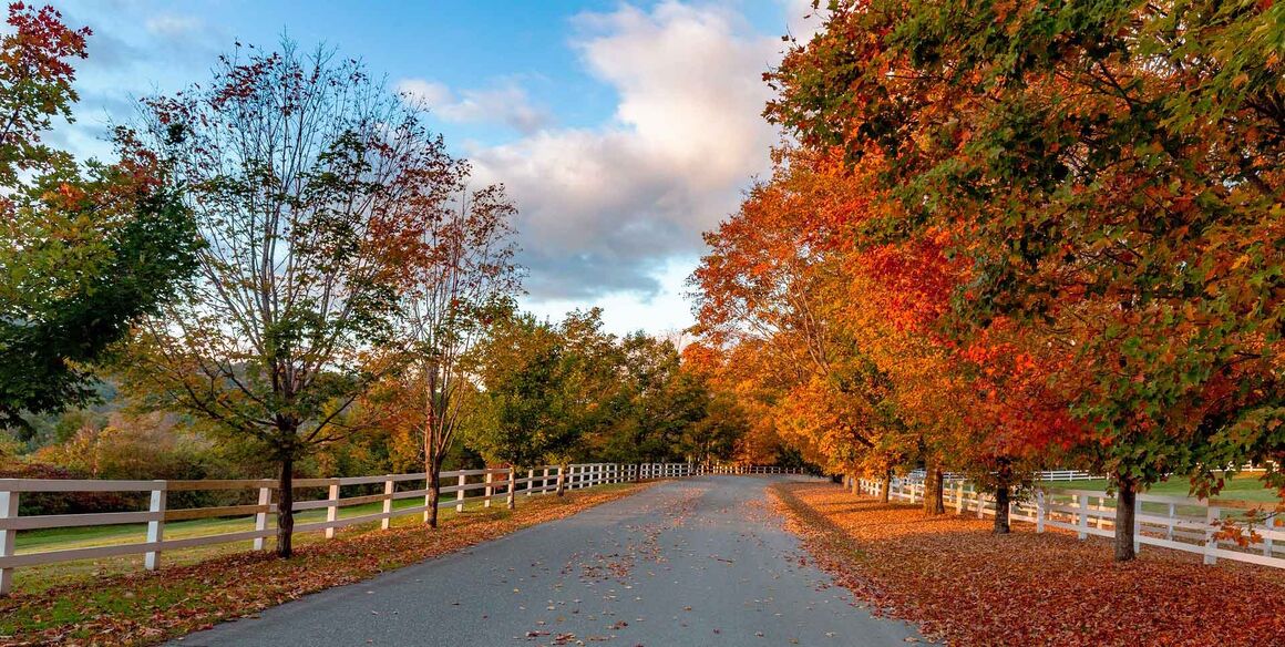 Indian Summer Reisetipps Eine typische Straße in Neuengland während des Indian Summer, gesäumt von bunten Bäumen und einem strahlend weißen Zaun.