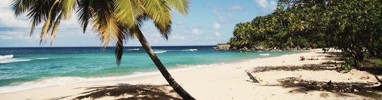 Traumstrand Punta Cana - Dom Rep | Condor