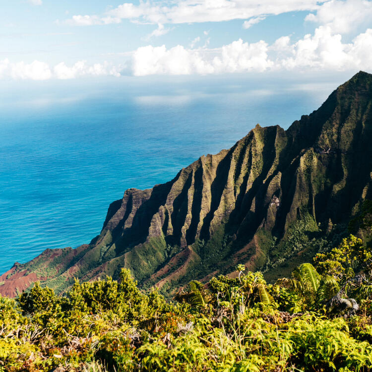 Luftaufnahme der markanten, grünen Na Pali-Küste auf Kauai, mit dramatischen Klippen, die ins Meer stürzen