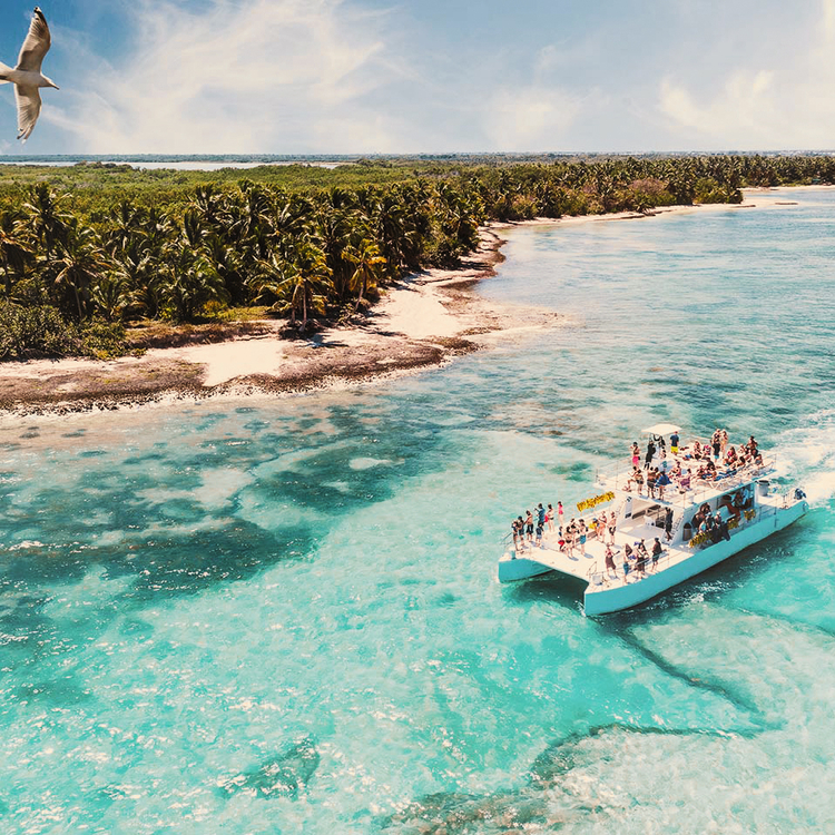 Flüge Von Stuttgart Nach Flughafen Punta Cana www.condor.com