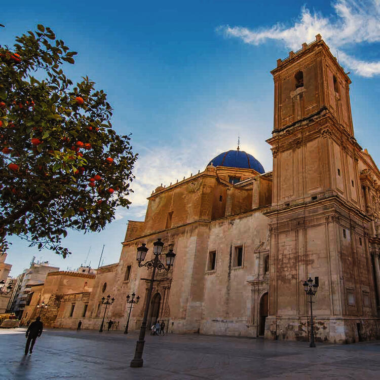 Basilica de Santa María - Alicante | Condor