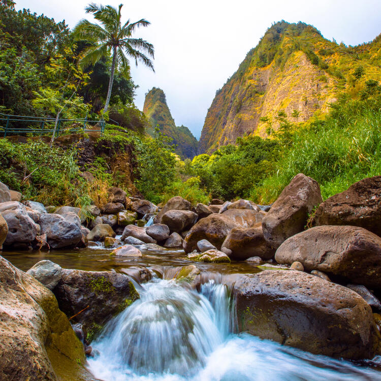 Üppiger Iao Valley State Park auf Maui, Hawaii, mit einem fließenden Bach und grüner Vegetation