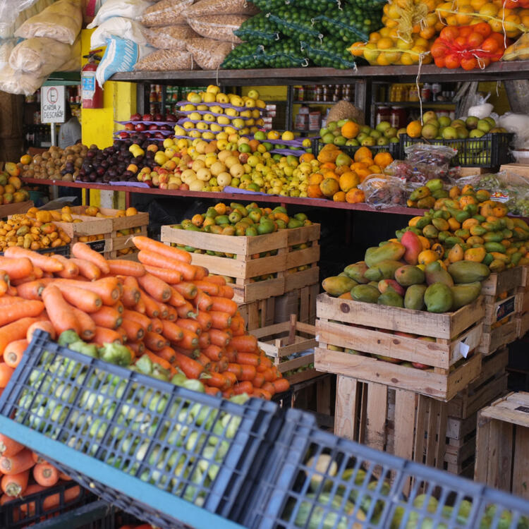 frisches gemüse vom markt