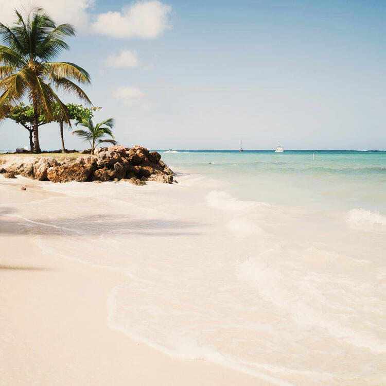 Tobago Pigeon Point Beach