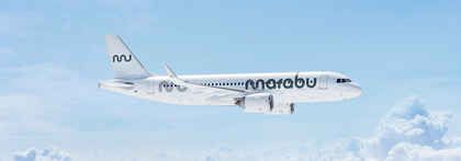 Marabu Marabu
