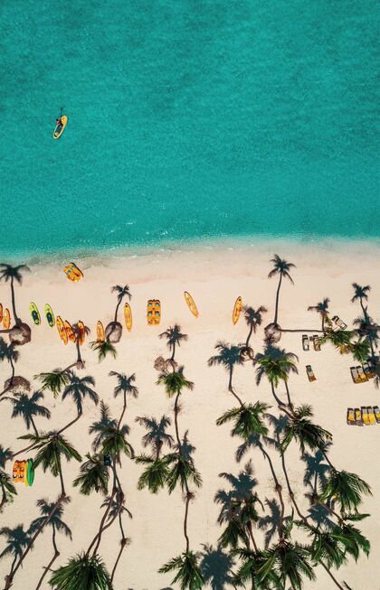 63 / 5,000 Translation results Translation result Luftfoto af en strand med palmer i Den Dominikanske Republik