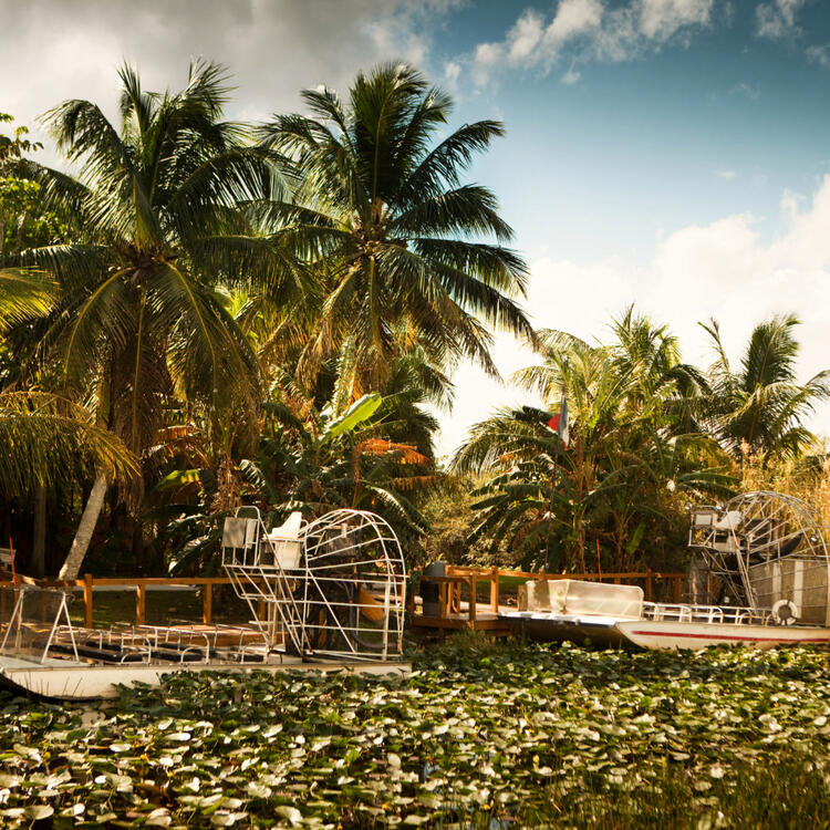 Un entorno tranquilo con una barca atracada junto a una plataforma de madera, rodeada de exuberantes palmeras verdes y un estanque cubierto de nenúfares, típicos de los Everglades de Florida.